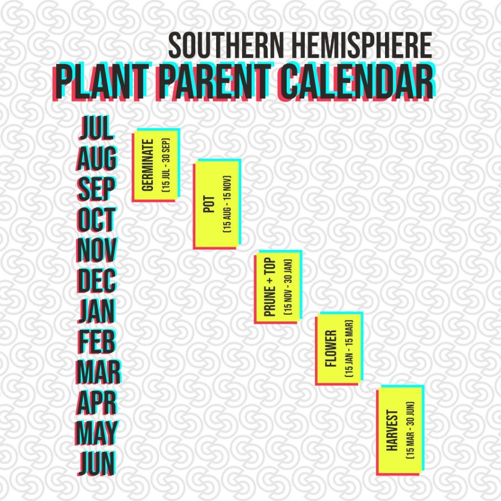 Pot Plant Parent Calendar for Southern Hemisphere