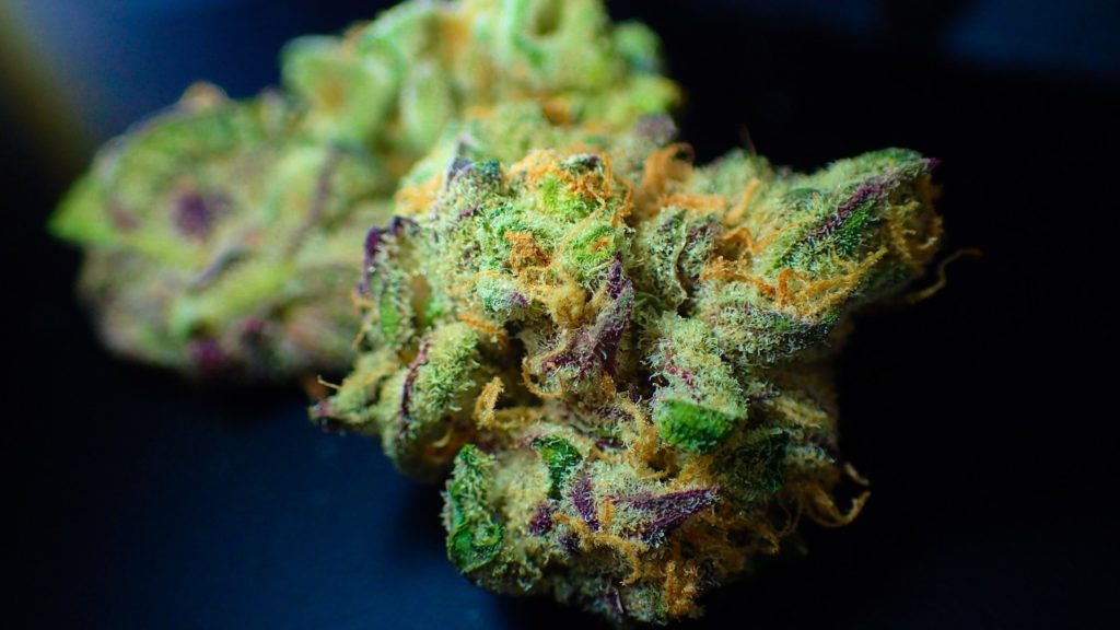 Why All Stoners Worth Their Bud Should Know What Sinsemilla Mean