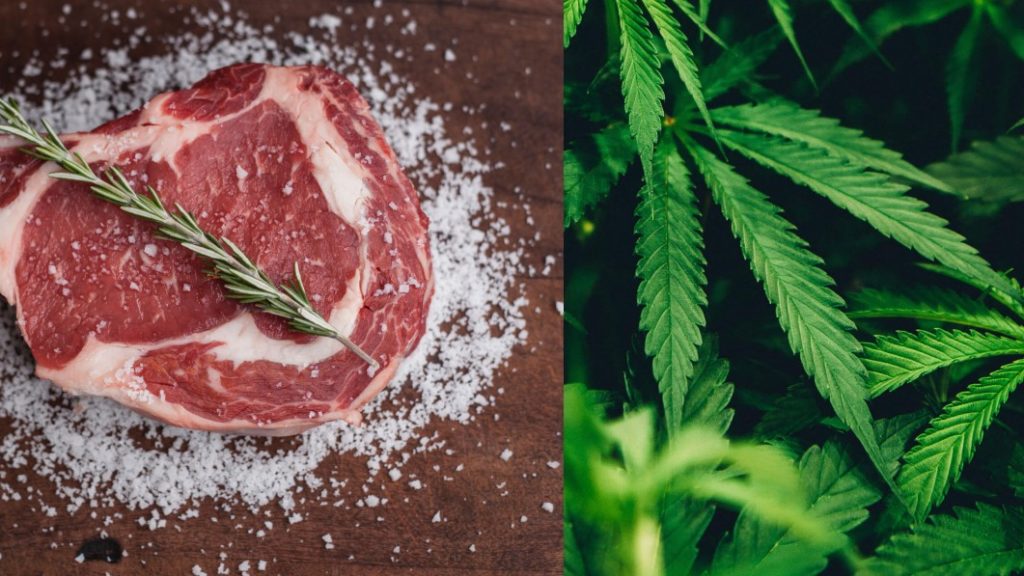Food Scientists Develop Hemp-based Meat As A Sustainable Alternative