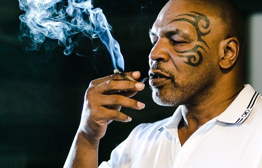 Mike Tyson Has High Hopes For Cannabis Tourism, With Two Weed Retreats On The Cards