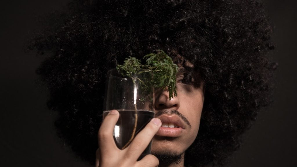 How To Make Your Own CBD Infused Shampoo