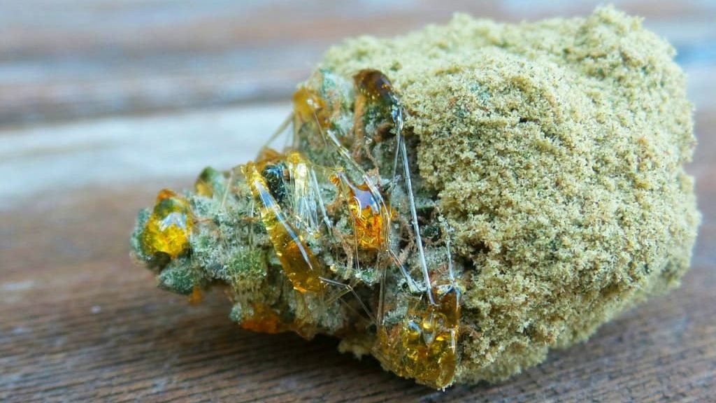 5 Mindblowing Facts About Cannabis Caviar - Stoned Citizen