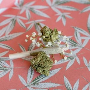 Post Pandemic Pot Party Cannabis Flowers and Joint
