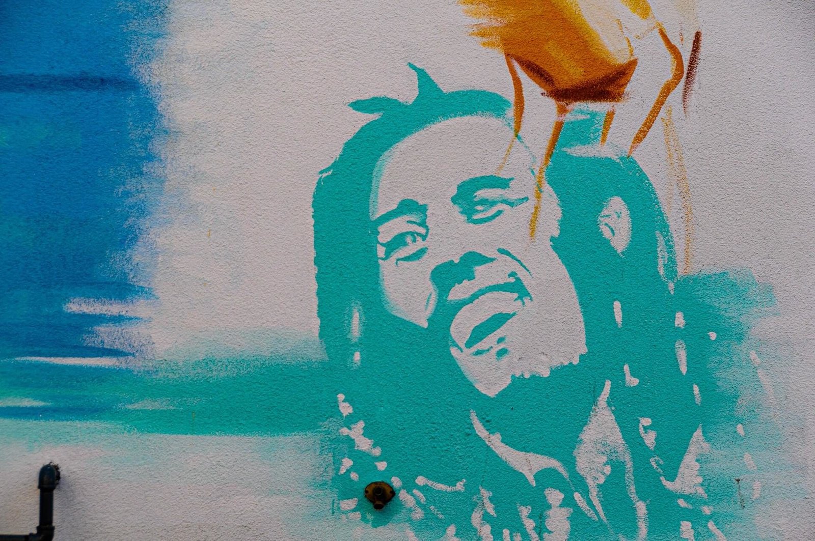 Bob Marley Graffiti Merial