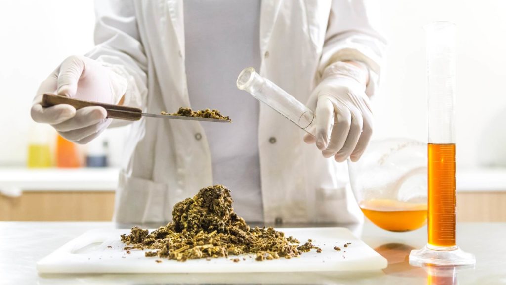 Cannabis Honey Sticks Are For The On-The-Go Stoned Citizen
