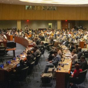 United Nations Conference in Session