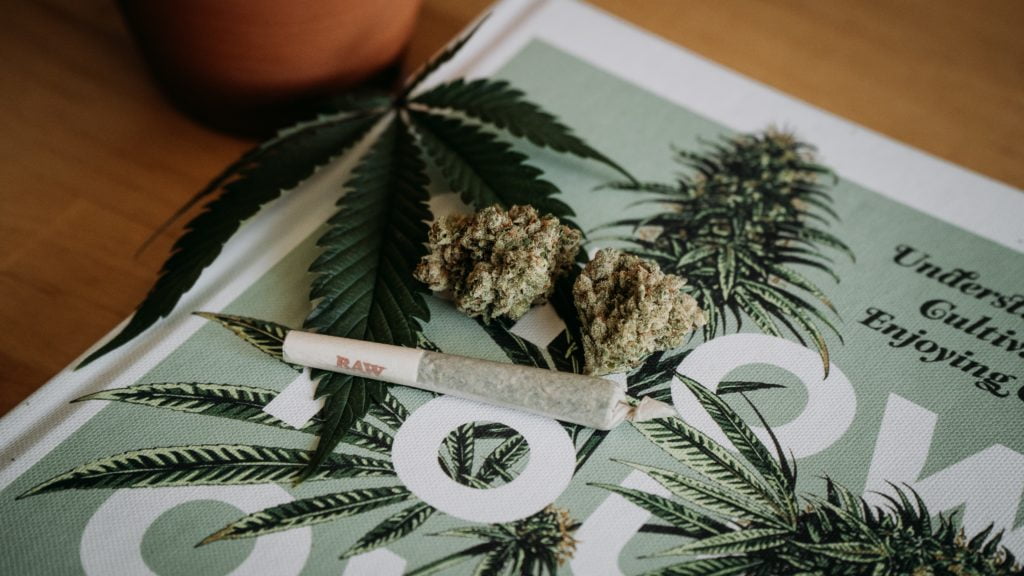 Study Shows How COVID-19 Fuelled The Homegrown Cannabis Boom