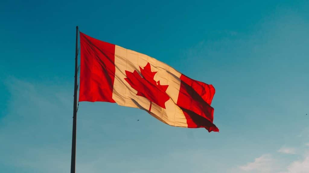 The Reason Why You Should Buy From An Online Dispensary in Canada