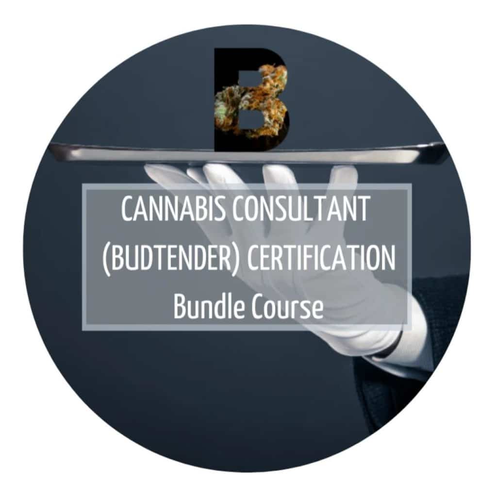 Cannabis Consultant Bundle Course