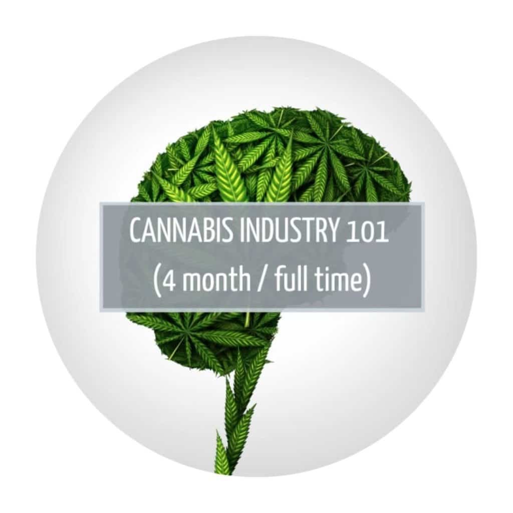 Cannabis Industry 101 Course