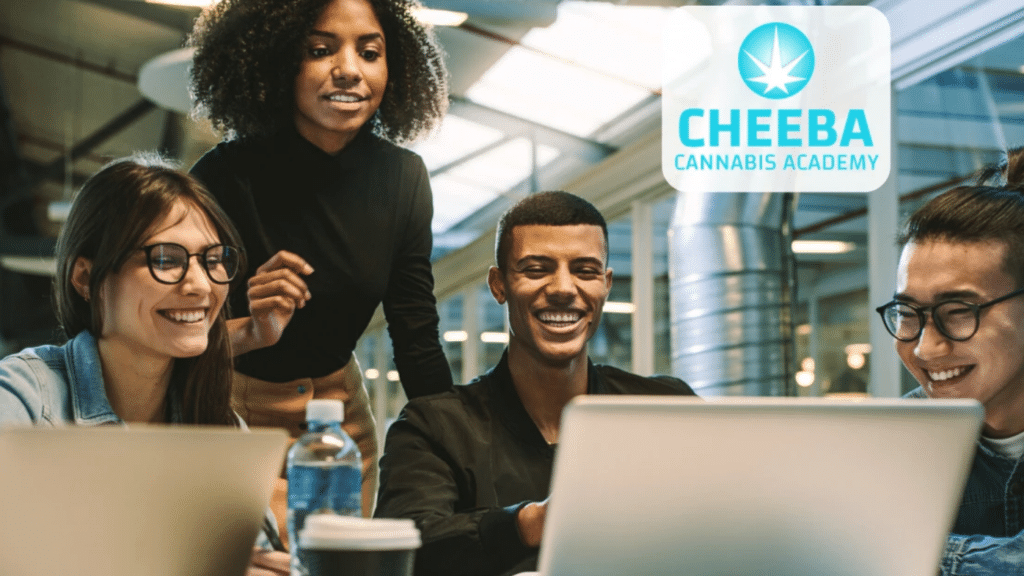 Cheeba Cannabis Academy – A Training Solution For A Developing Cannabis Industry