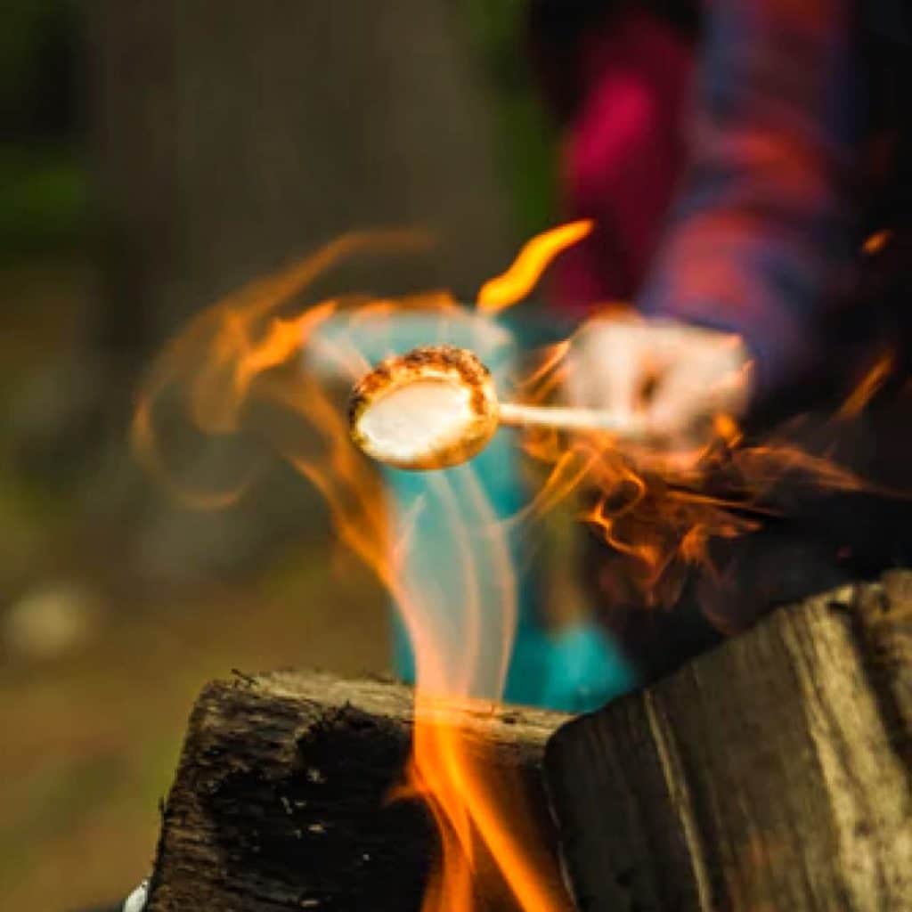 Toasting Marshmallow For S'mores