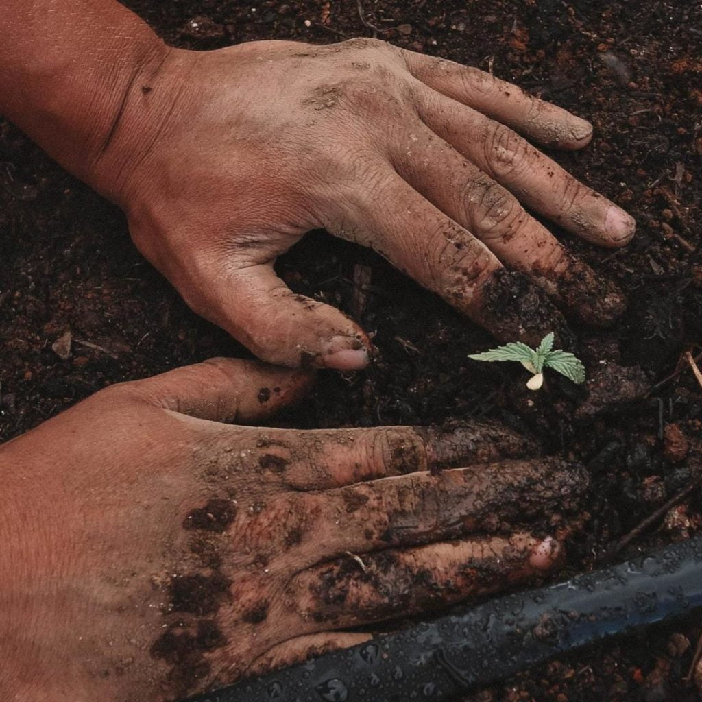 Recycled Soil For Sustainable Practices