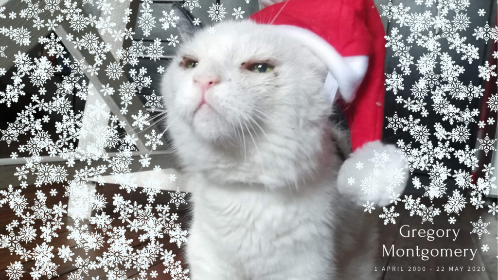 The KAT KULT Presents: The Krismas KAT KIT