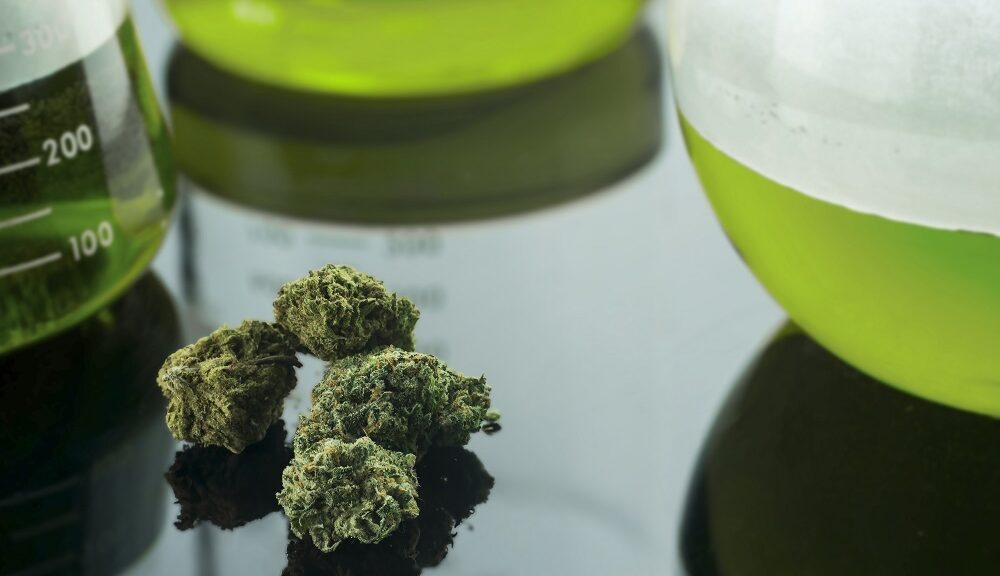 How To Make Dagga Vodka, Aka Green Dragon