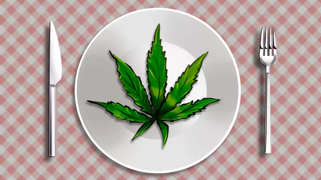 Cannabis Can Help You Lose Weight