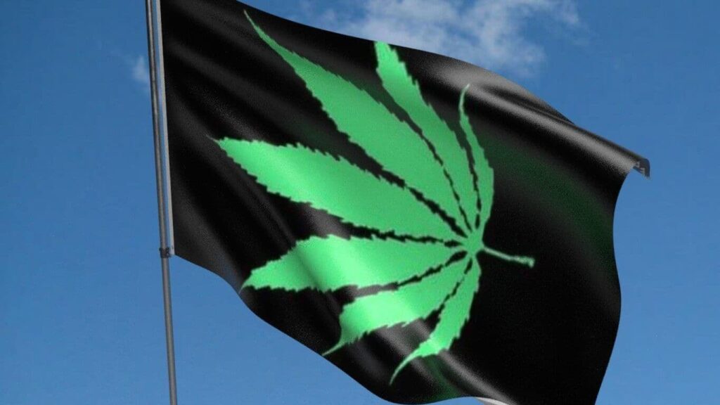 Stoner Slang: How to Talk Cannabis in Different Countries