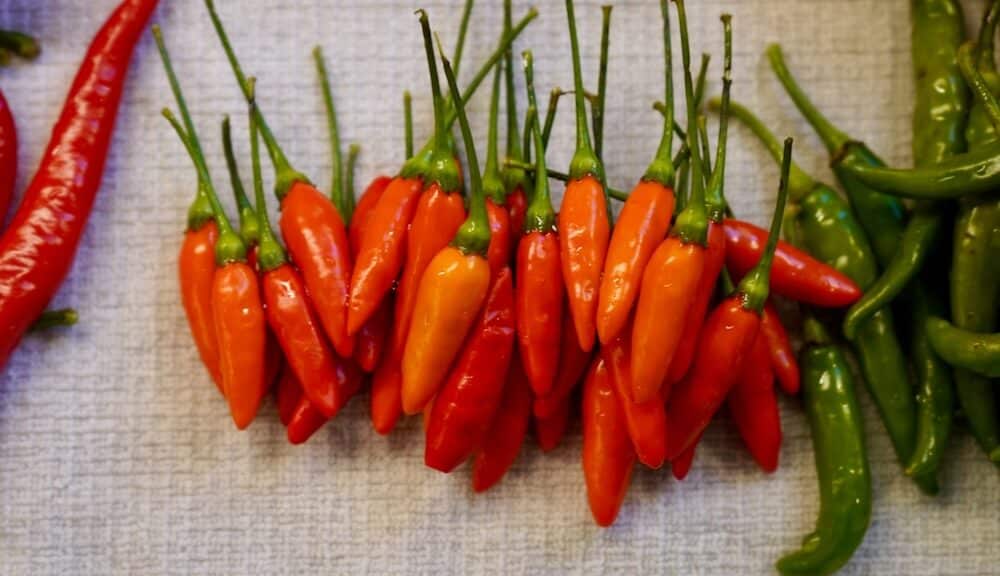 10 Fascinating Facts About Chillies