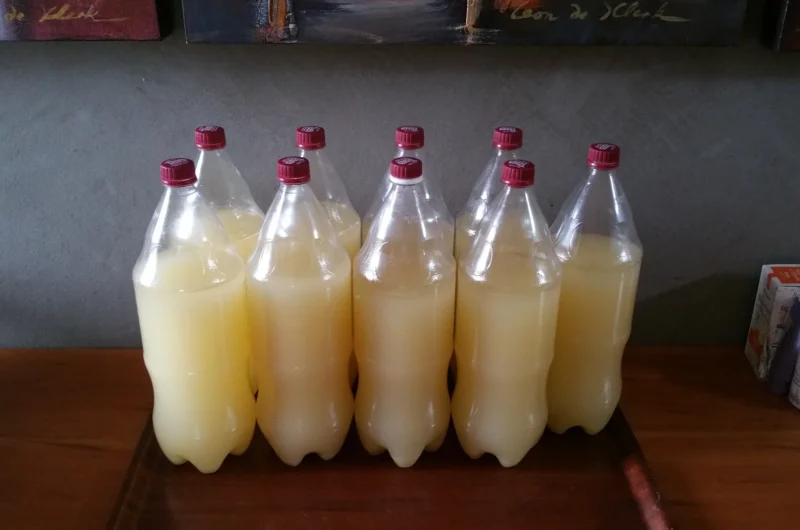 Make Your Own Alcoholic Pineapple Brew